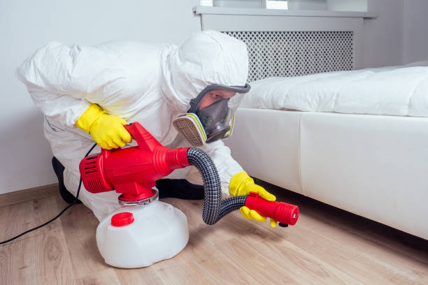 Insect Control in Boerne, TX