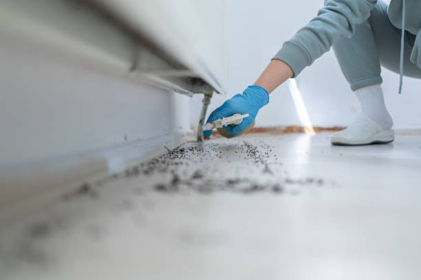 Best Commercial Pest Control Services  in Boerne, TX
